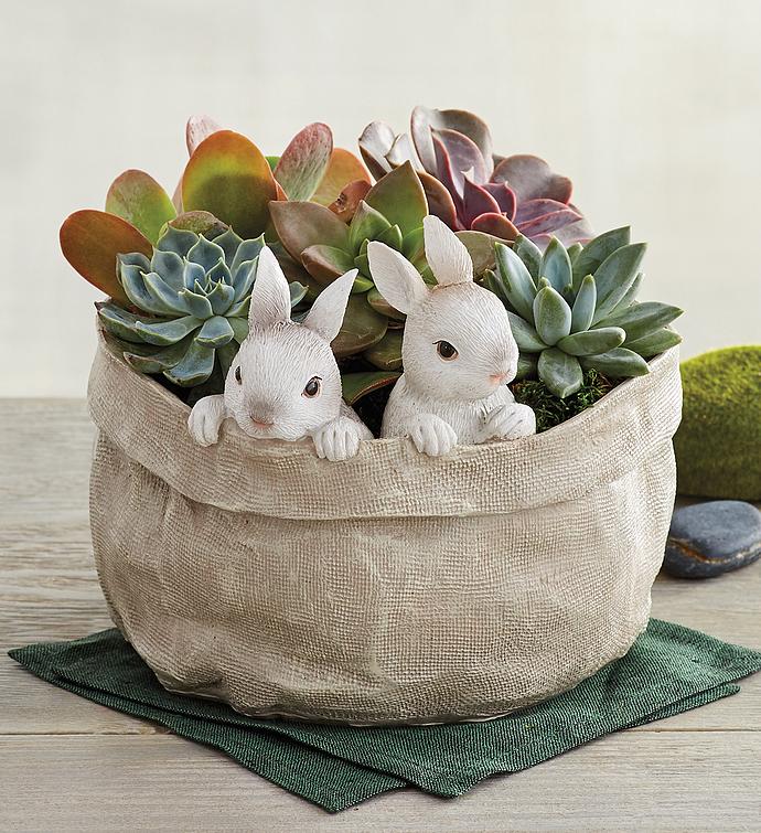 Succulents in Easter Bunny Bag